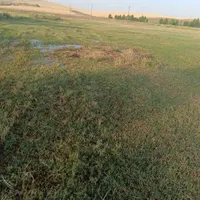 کمباین