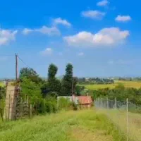 ۳۰۰متر خونه روستایی/ویودار جنگلی