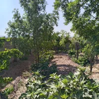باغ-کشاورزی