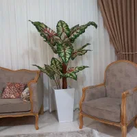 درختچه برگ پهن|گل مصنوعی|خرمآباد, |دیوار