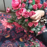 عرصه بهم خیلی سخته گل های قدیمی برا ۷۰ سال پیشه