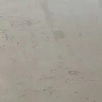 نشیابی ونشتگیری باضمانت