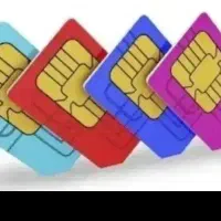 ۰۹۱۱۷۷۳۳۱۷۵