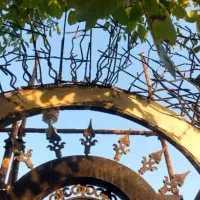 تاسیسات و تعمیر نگهداری|خدمات پیشه و مهارت|تهران, قلهک|دیوار