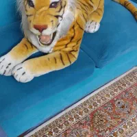 ببر|مجسمه، تندیس، ماکت|تهران, یاخجی آباد|دیوار