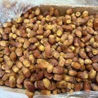 ضایعاتی خر ما