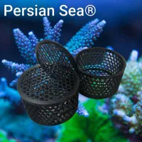 ماشروم باکس