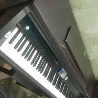 فروش اقساطی پیانو دایناتون|پیانو، کیبورد، آکاردئون|قائم‌شهر, |دیوار