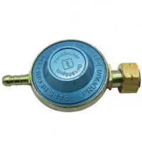 کپسول و پیکنیک پرمیشود+