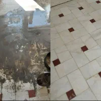 شرکت خدماتی کفسابی بیانکو|خدمات نظافت|بندرعباس, |دیوار