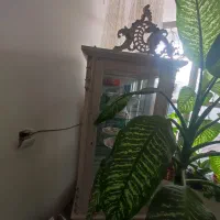 کمد لباس گنجه|جاکفشی، کمد، دراور|فیروزه, |دیوار