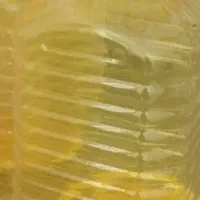 سطل پلاستیکی|ظروف نگهدارنده، پلاستیکی، یک‌بارمصرف|شیراز, پودنک|دیوار