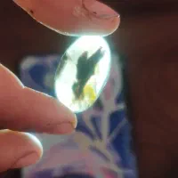 نگین شجر|جواهرات|خمینیشهر, |دیوار