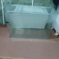 فروش اکواریوم|ماهی|سقز, |دیوار