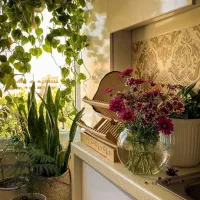 زمین-تجاری-در-فارسان