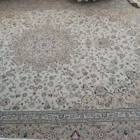 یک جفت فرش ۱۲متری