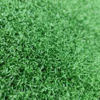 چمن|خدمات باغبانی و درختکاری|گلپایگان, |دیوار