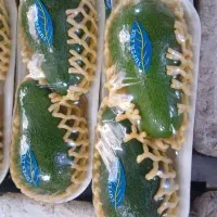 آواکادو ایرانی عمده