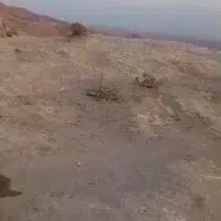 زمین مسکونی در صدرا شیراز