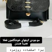 کیف مجلسی زنانه|کیف، کفش، کمربند|ماکو, |دیوار