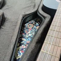 گیتار هاوایی|گیتار، بیس، امپلیفایر|کرمان, |دیوار