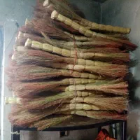 جارو دستی|لوازم نظافت|آزادشهر, |دیوار