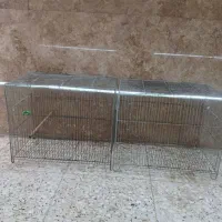 قفس پرنده