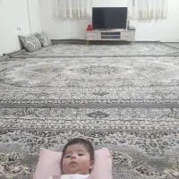 فرش فروش