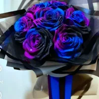 گل روبانی