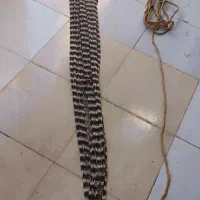 تور ماهیگیری 20متری|ماهیگیری|مسجد سلیمان, |دیوار