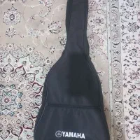 سافت کیس گیتار