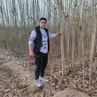 پیش فروش وفروش انواع نهال