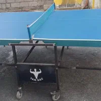 میز پینگ پنگ