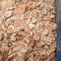 نون خشک داشتین پیام بزارین