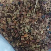 کشمش|خوردنی و آشامیدنی|بهارستان, |دیوار