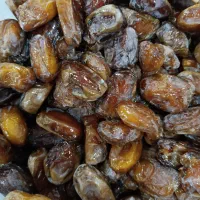 رطب کبکاب