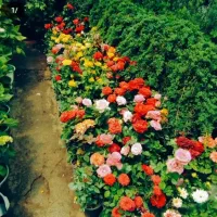 مرکز تخصصی خدمات کشاورزی و فضای سبز
