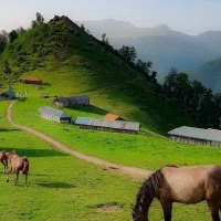 سفر به برنجستانک
