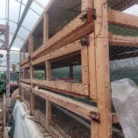 قفس ۳ طبقه پرندگان