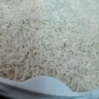 برنج هاشمی آستانه