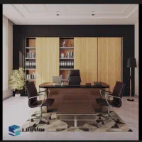 منشی خانم اداری