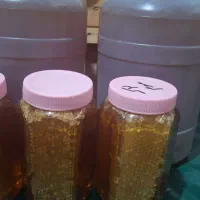 عسل به شرط و تضمینی|خوردنی و آشامیدنی|یاسوج, |دیوار