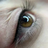 آرایش دائم، خط چشم، شیدلب، تتو بدن، میکروبلیدینگ