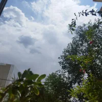 فروش زمین در سایت کارگاهی