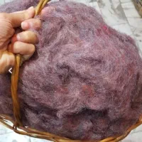 تشک با الیاف پتو