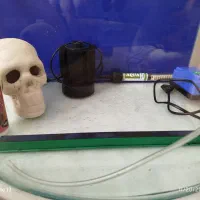 آکواریوم شیشه خم