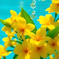 راهنمایی کنید