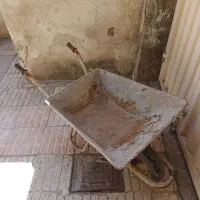 فرغون ورق ضخیم