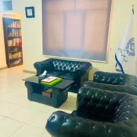 پرده زبرا رنگ طوسی شیک نو استفاده نشده