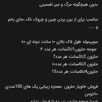 حلزون اچاتینا البینو|خزنده|شیراز, شهرک ترکان|دیوار